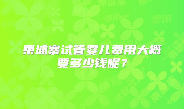 柬埔寨试管婴儿费用大概要多少钱呢？