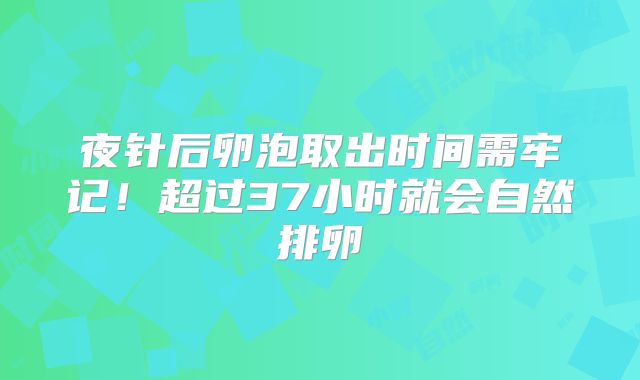 夜针后卵泡取出时间需牢记!超过37小时就会自然排卵