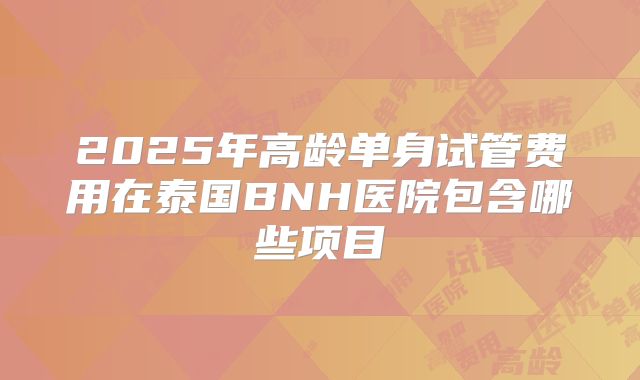 2025年高龄单身试管费用在泰国BNH医院包含哪些项目