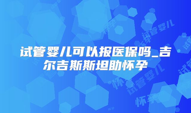 试管婴儿可以报医保吗_吉尔吉斯斯坦助怀孕