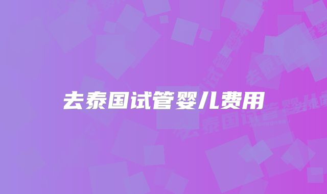 去泰国试管婴儿费用