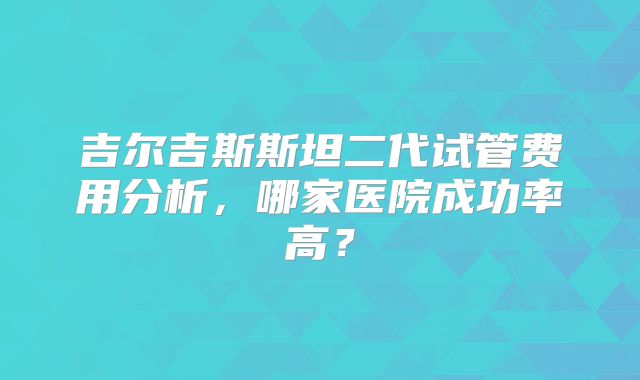 吉尔吉斯斯坦二代试管费用分析，哪家医院成功率高？
