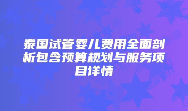 泰国试管婴儿费用全面剖析包含预算规划与服务项目详情