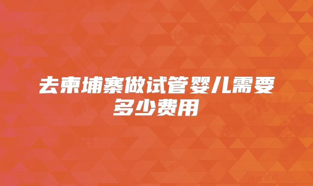 去柬埔寨做试管婴儿需要多少费用