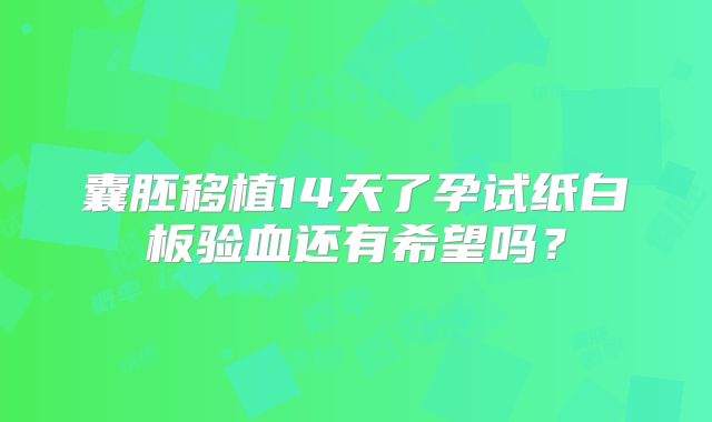 囊胚移植14天了孕试纸白板验血还有希望吗?