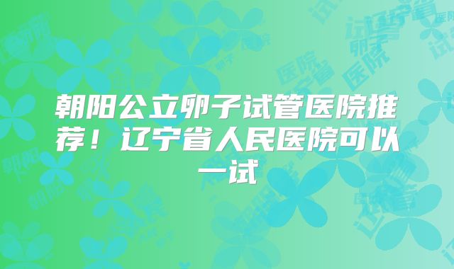 朝阳公立卵子试管医院推荐！辽宁省人民医院可以一试