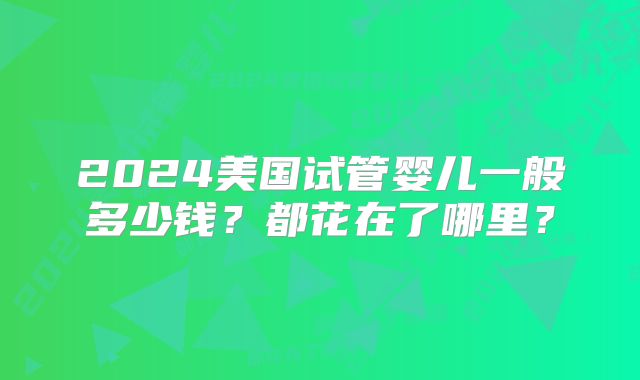 2024美国试管婴儿一般多少钱?都花在了哪里?