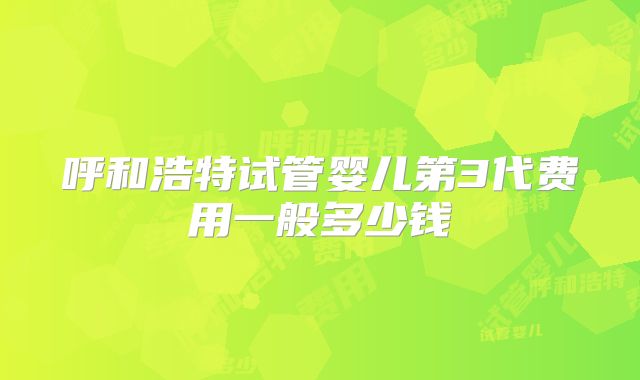 呼和浩特试管婴儿第3代费用一般多少钱