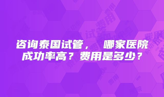 咨询泰国试管， 哪家医院成功率高？费用是多少？