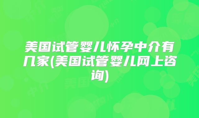 美国试管婴儿怀孕中介有几家(美国试管婴儿网上咨询)