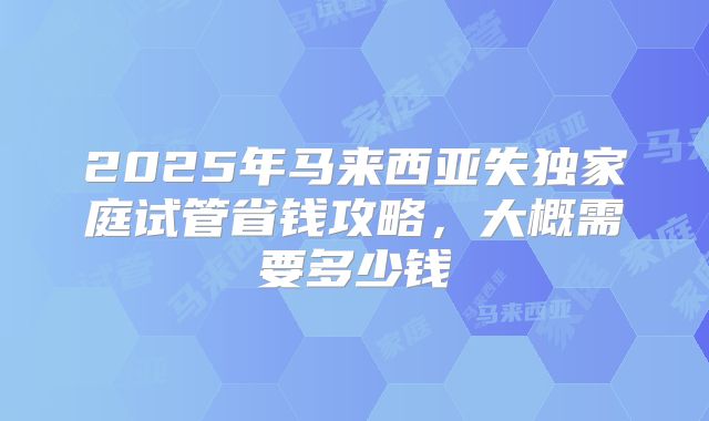 2025年马来西亚失独家庭试管省钱攻略，大概需要多少钱