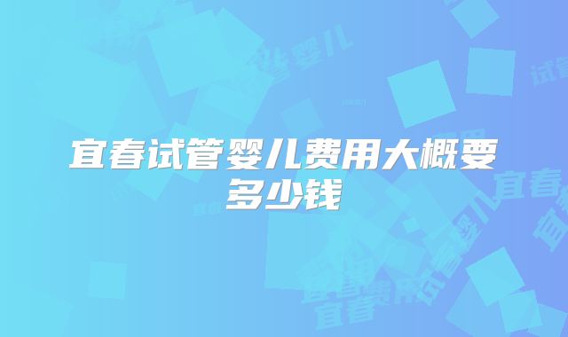 宜春试管婴儿费用大概要多少钱