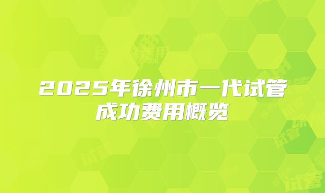 2025年徐州市一代试管成功费用概览