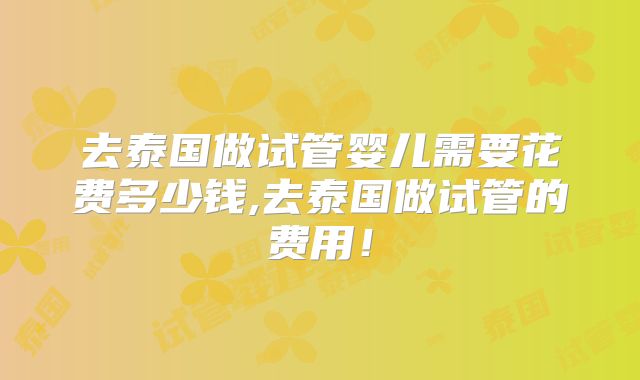 去泰国做试管婴儿需要花费多少钱,去泰国做试管的费用!