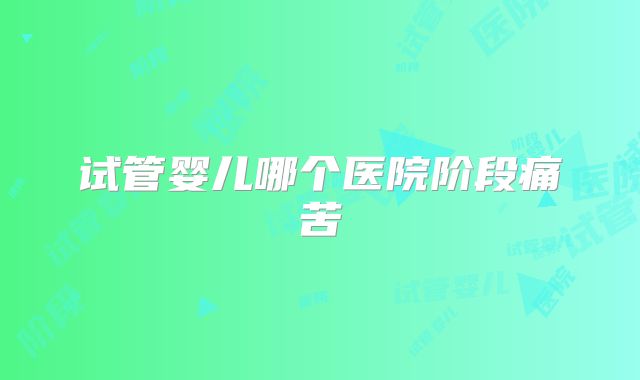 试管婴儿哪个医院阶段痛苦