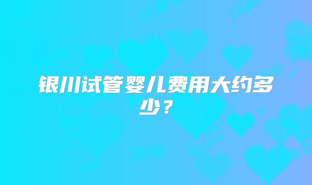 银川试管婴儿费用大约多少？