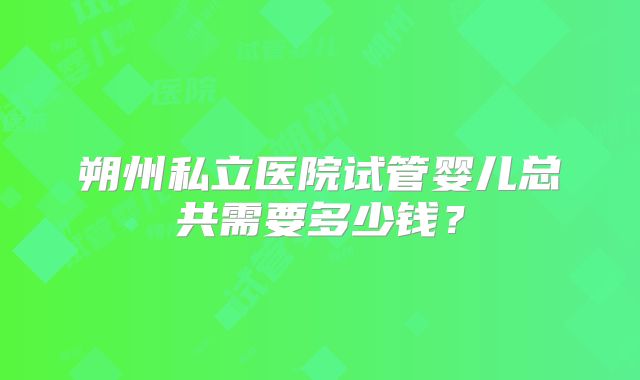 朔州私立医院试管婴儿总共需要多少钱？