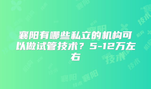 襄阳有哪些私立的机构可以做试管技术？5-12万左右