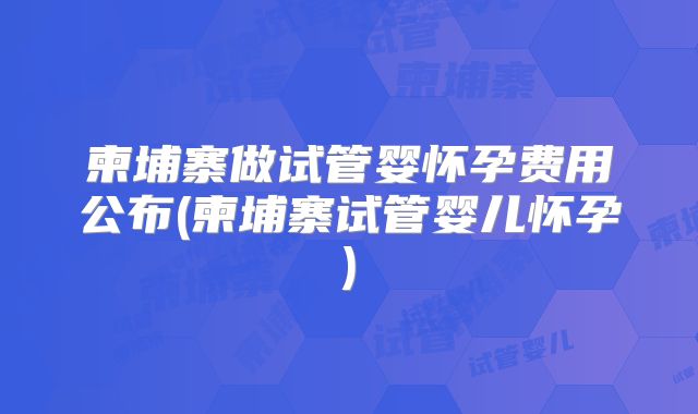 柬埔寨做试管婴怀孕费用公布(柬埔寨试管婴儿怀孕)