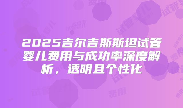 2025吉尔吉斯斯坦试管婴儿费用与成功率深度解析，透明且个性化