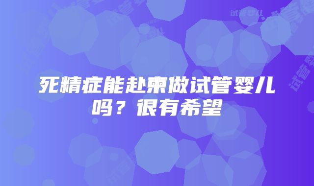 死精症能赴柬做试管婴儿吗？很有希望