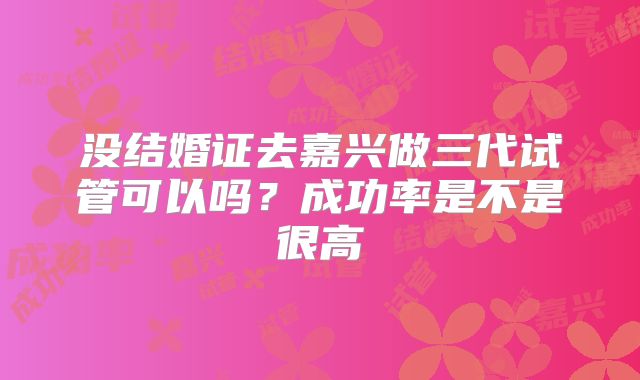 没结婚证去嘉兴做三代试管可以吗？成功率是不是很高