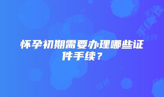 怀孕初期需要办理哪些证件手续？