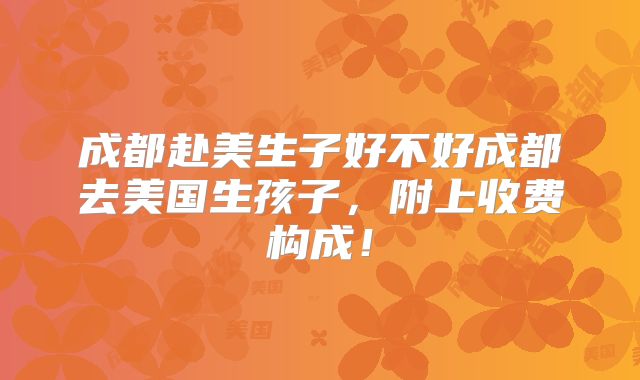 成都赴美生子好不好成都去美国生孩子,附上收费构成!