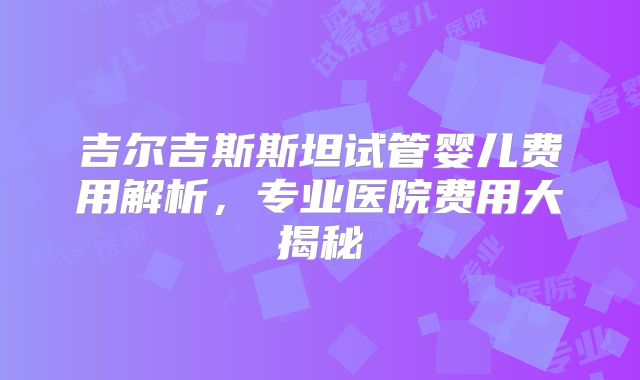 吉尔吉斯斯坦试管婴儿费用解析,专业医院费用大揭秘