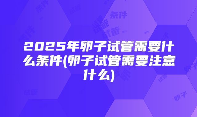 2025年卵子试管需要什么条件(卵子试管需要注意什么)