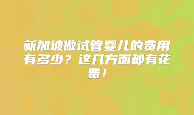 新加坡做试管婴儿的费用有多少？这几方面都有花费！