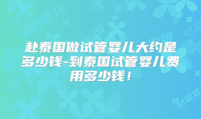 赴泰国做试管婴儿大约是多少钱-到泰国试管婴儿费用多少钱！