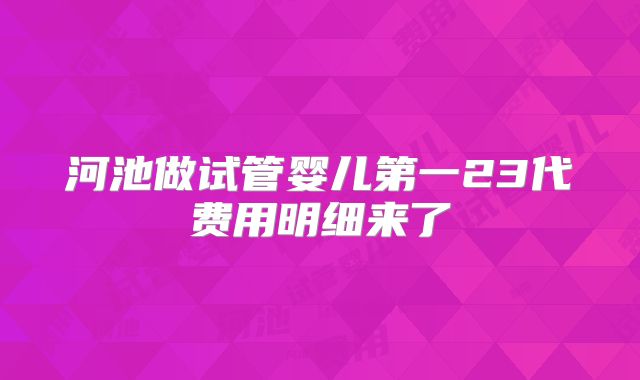 河池做试管婴儿第一23代费用明细来了