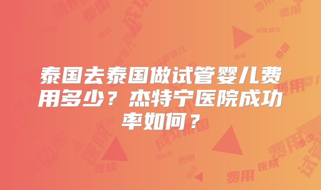泰国去泰国做试管婴儿费用多少？杰特宁医院成功率如何？