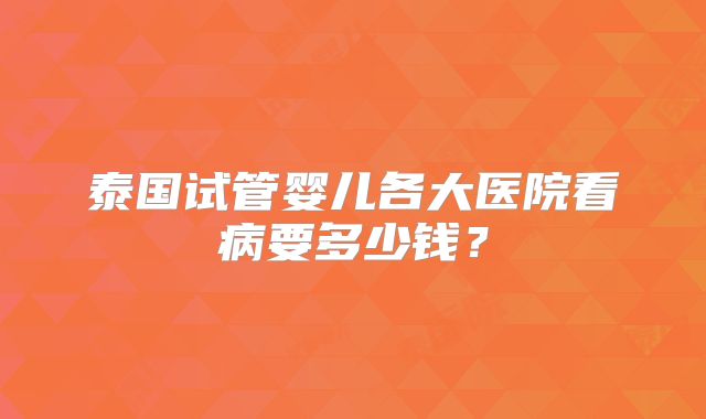 泰国试管婴儿各大医院看病要多少钱？