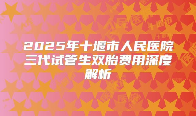 2025年十堰市人民医院三代试管生双胎费用深度解析