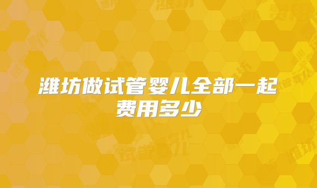 潍坊做试管婴儿全部一起费用多少