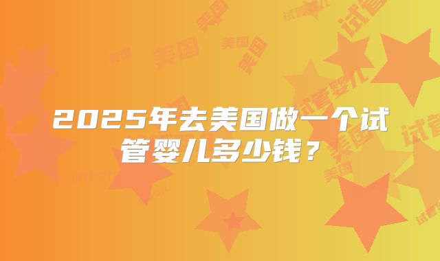 2025年去美国做一个试管婴儿多少钱？