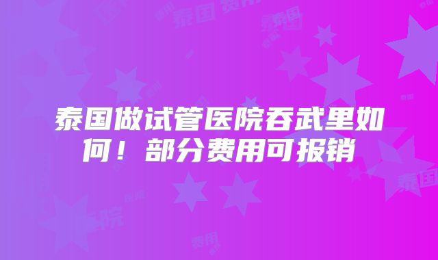 泰国做试管医院吞武里如何！部分费用可报销