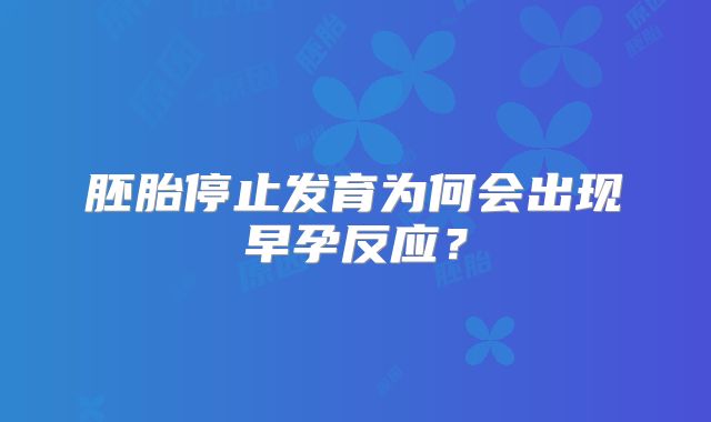 胚胎停止发育为何会出现早孕反应?