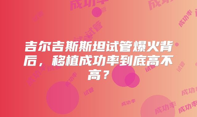 吉尔吉斯斯坦试管爆火背后，移植成功率到底高不高？