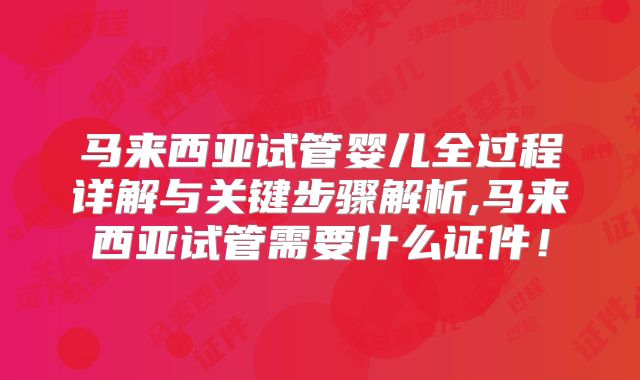 马来西亚试管婴儿全过程详解与关键步骤解析,马来西亚试管需要什么证件！