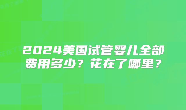 2024美国试管婴儿全部费用多少？花在了哪里？