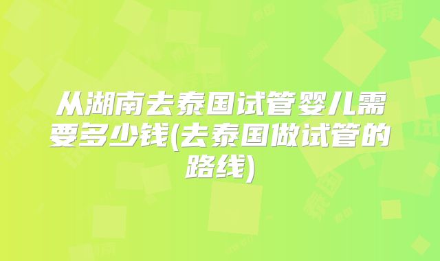 从湖南去泰国试管婴儿需要多少钱(去泰国做试管的路线)