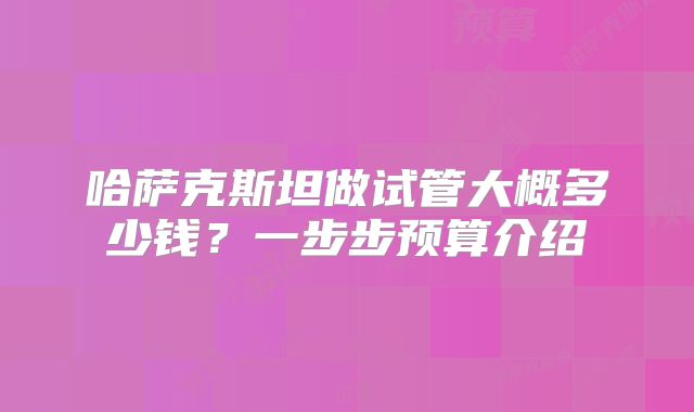 哈萨克斯坦做试管大概多少钱？一步步预算介绍