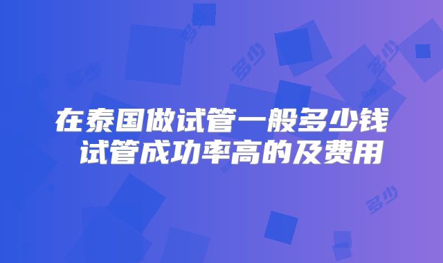 在泰国做试管一般多少钱 试管成功率高的及费用