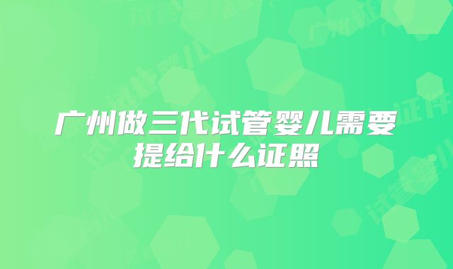 广州做三代试管婴儿需要提给什么证照
