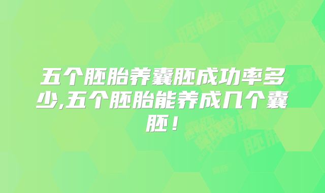 五个胚胎养囊胚成功率多少,五个胚胎能养成几个囊胚！
