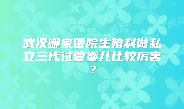 武汉哪家医院生殖科做私立三代试管婴儿比较厉害?