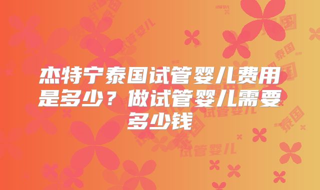 杰特宁泰国试管婴儿费用是多少？做试管婴儿需要多少钱